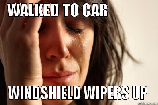   WALKED TO CAR                  WINDSHIELD WIPERS UP First World Problems