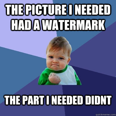 the picture i needed had a watermark The part i needed didnt - the picture i needed had a watermark The part i needed didnt  Success Kid