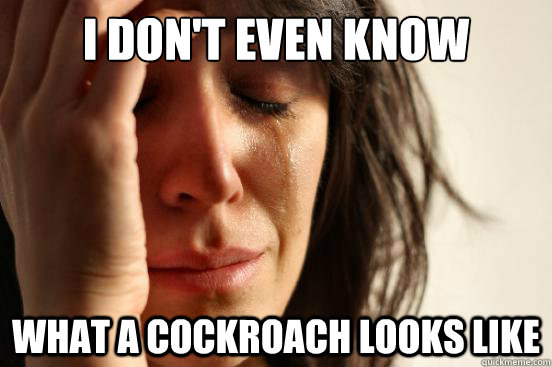 I don't even know What a cockroach looks like - I don't even know What a cockroach looks like  First World Problems