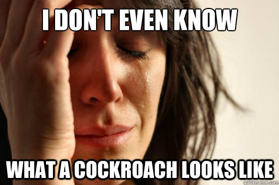 I don't even know What a cockroach looks like  First World Problems