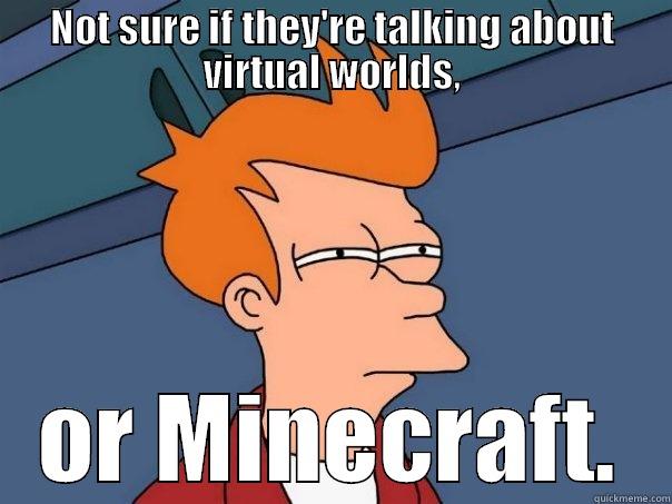 Minecraft world - NOT SURE IF THEY'RE TALKING ABOUT VIRTUAL WORLDS, OR MINECRAFT. Futurama Fry