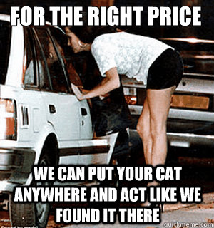 For the right price we can put your cat anywhere and act like we found it there  Karma Whore
