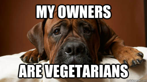 My owners are vegetarians  