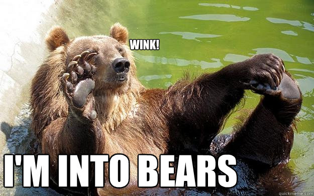 Wink! I'm into bears  