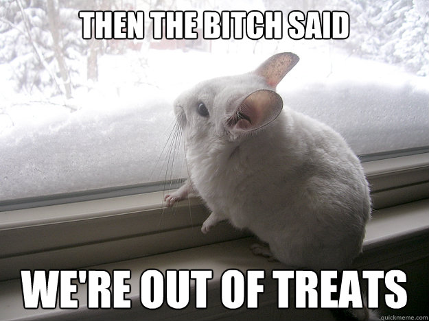 then the bitch said we're out of treats  lonely chinchilla