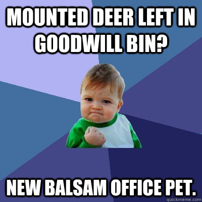 Mounted deer left in Goodwill Bin? New Balsam office pet. - Mounted deer left in Goodwill Bin? New Balsam office pet.  Success Kid