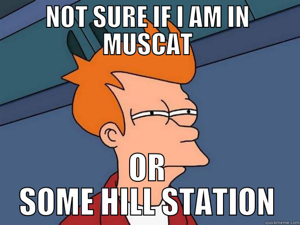 NOT SURE IF I AM IN MUSCAT OR SOME HILL STATION Futurama Fry