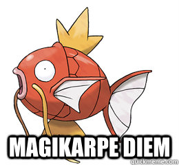  Magikarpe Diem  