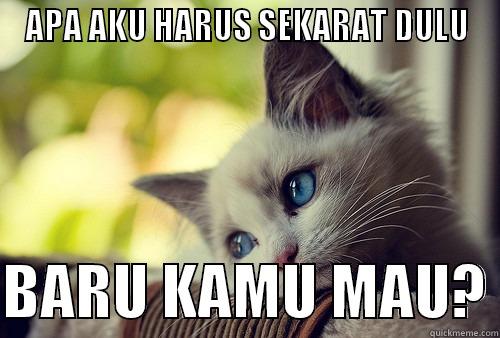 APA AKU HARUS SEKARAT DULU  BARU KAMU MAU? First World Problems Cat