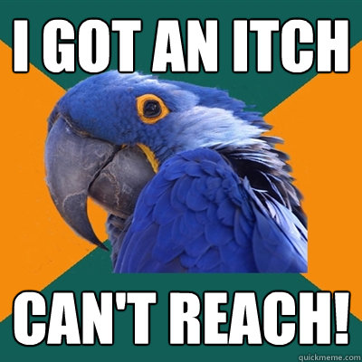 i got an itch can't reach!  Paranoid Parrot