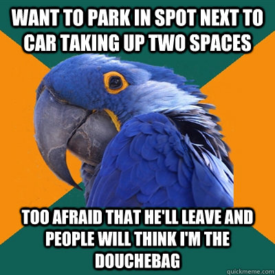 Want to park in spot next to car taking up two spaces Too afraid that he'll leave and people will think I'm the douchebag  Paranoid Parrot
