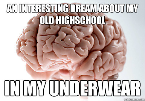 An interesting dream about my old highschool in my underwear  Scumbag Brain
