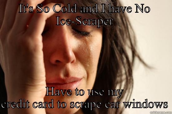 IT'S SO COLD AND I HAVE NO ICE-SCRAPER HAVE TO USE MY CREDIT CARD TO SCRAPE CAR WINDOWS First World Problems