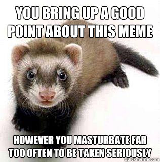 You bring up a good point about this meme however you masturbate far too often to be taken seriously   - You bring up a good point about this meme however you masturbate far too often to be taken seriously    Logical Fallacy Ferret