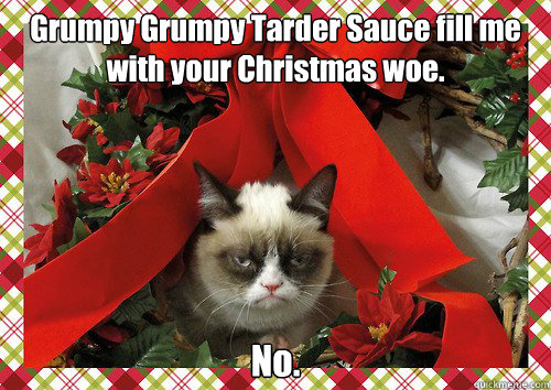Grumpy Grumpy Tarder Sauce fill me with your Christmas woe. No.  A Grumpy Cat Christmas