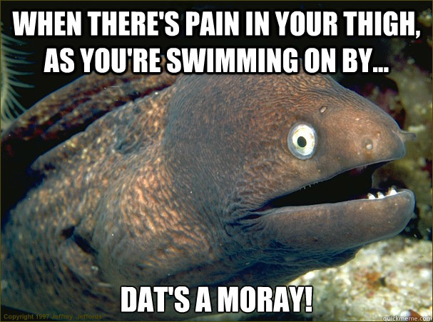 When There's pain in your thigh, as you're swimming on by... Dat's a moray! - When There's pain in your thigh, as you're swimming on by... Dat's a moray!  Bad Joke Eel