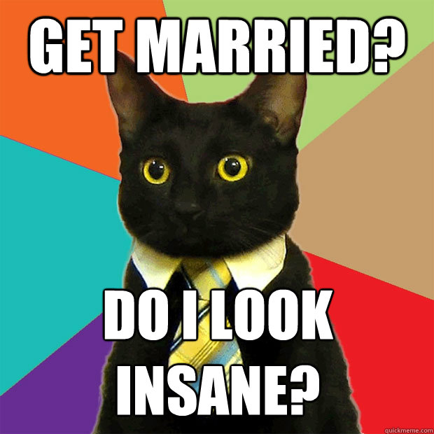 get married? Do I look 
insane? - get married? Do I look 
insane?  Business Cat