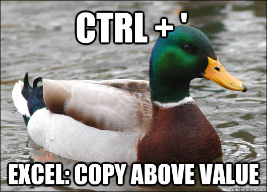 Ctrl + ' Excel: Copy above value  Actual Advice Mallard
