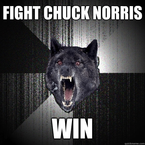 Fight Chuck Norris WIN  Insanity Wolf