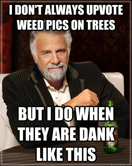 I don't always upvote weed pics on trees but I do when they are dank like this  The Most Interesting Man In The World