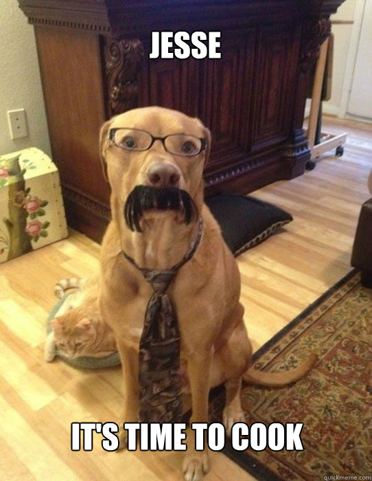 JESSE IT'S TIME TO COOK - JESSE IT'S TIME TO COOK  Breaking Bad Dog