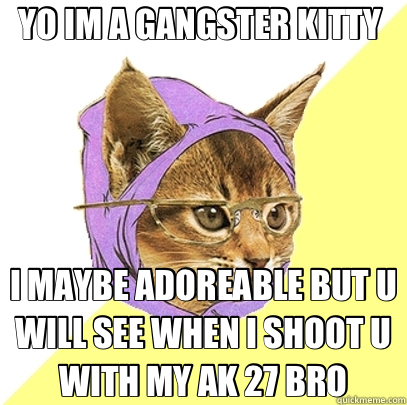 YO IM A GANGSTER KITTY  I MAYBE ADOREABLE BUT U WILL SEE WHEN I SHOOT U WITH MY AK 27 BRO  Hipster Kitty