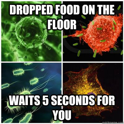 dropped food on the floor waits 5 seconds for you  Good Guy Germs