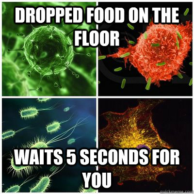 dropped food on the floor waits 5 seconds for you - dropped food on the floor waits 5 seconds for you  Good Guy Germs