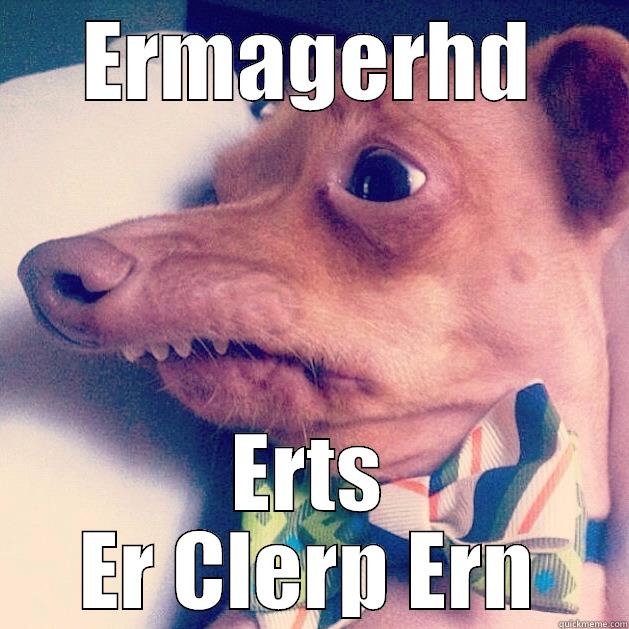 ERMAGERHD ERTS ER CLERP ERN Misc
