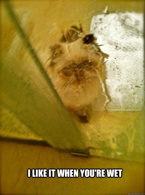 I like it when you're wet  Ziggy