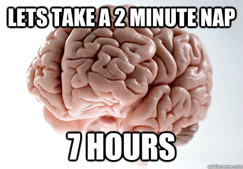 Lets take a 2 minute nap 7 hours   Scumbag Brain