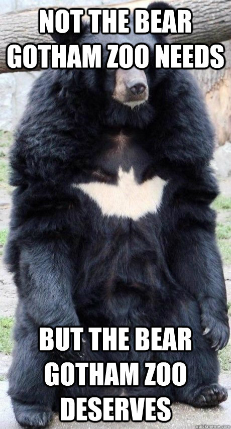 Not the bear gotham zoo needs but the bear gotham zoo deserves - Not the bear gotham zoo needs but the bear gotham zoo deserves  Bat Bear