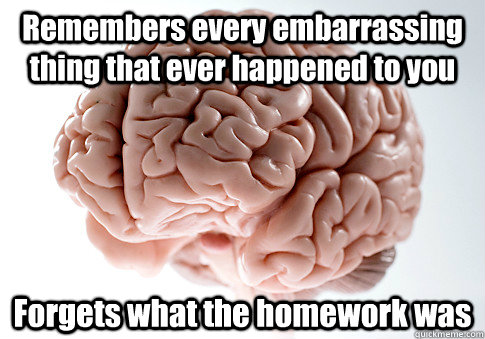 Remembers every embarrassing thing that ever happened to you  Forgets what the homework was  Scumbag Brain