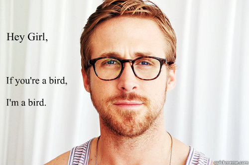 Hey Girl,  If you're a bird, 

I'm a bird. - Hey Girl,  If you're a bird, 

I'm a bird.  Ryan Gosling UW