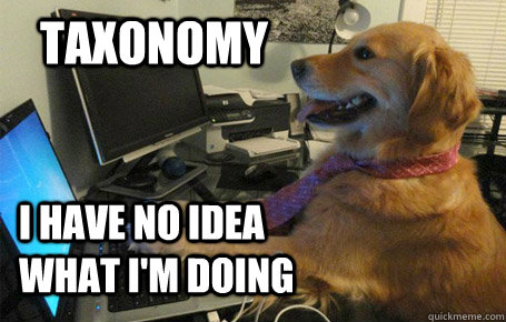 taxonomy i have no idea what i'm doing - taxonomy i have no idea what i'm doing  no idea laptop dog