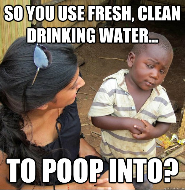 So you use fresh, clean drinking water... to poop into?  Skeptical Third World Kid