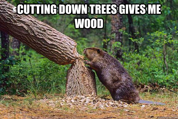 cutting down trees gives me wood   beaver cutting trees