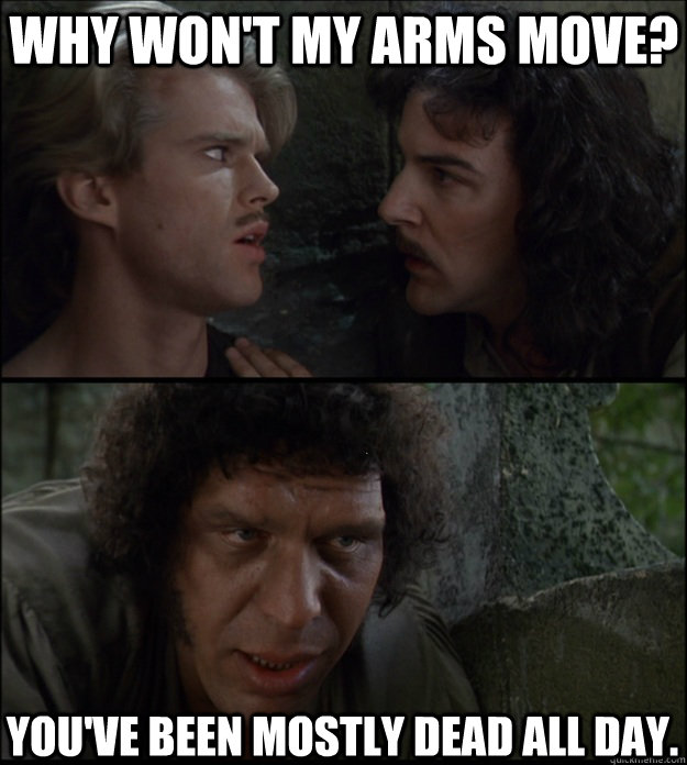 Why won't my arms move? You've been mostly dead all day. Mostly Dead quickmeme