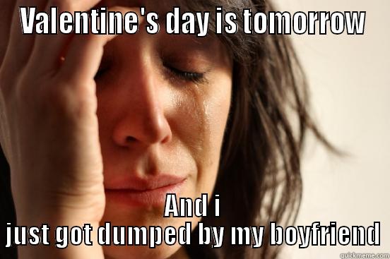 VALENTINE'S DAY IS TOMORROW AND I JUST GOT DUMPED BY MY BOYFRIEND First World Problems