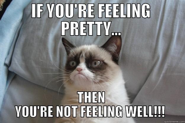 GRUMPY FEELING PRETTY - IF YOU'RE FEELING PRETTY... THEN YOU'RE NOT FEELING WELL!!!  Grumpy Cat