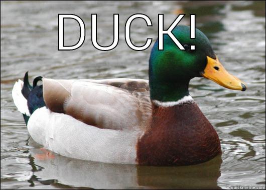 DUCK!  Actual Advice Mallard