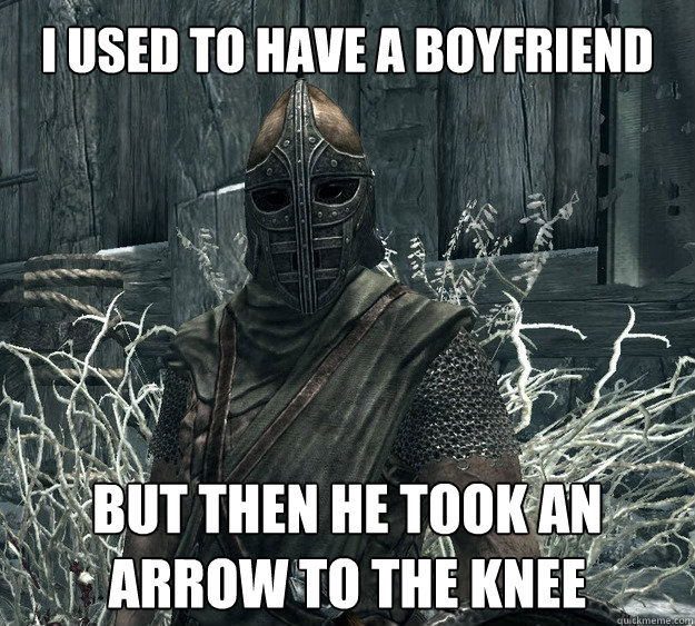 
I used to have a boyfriend but then he took an arrow to the knee - 
I used to have a boyfriend but then he took an arrow to the knee  Skyrim Guard