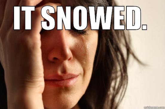 IT SNOWED.  First World Problems