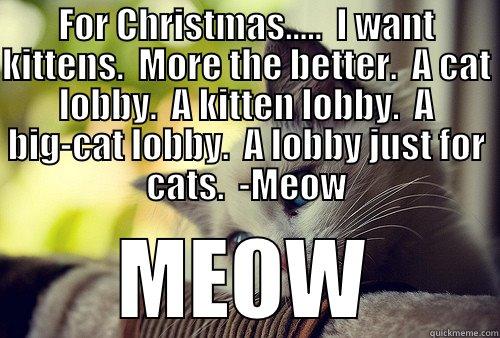 FOR CHRISTMAS.....  I WANT KITTENS.  MORE THE BETTER.  A CAT LOBBY.  A KITTEN LOBBY.  A BIG-CAT LOBBY.  A LOBBY JUST FOR CATS.  -MEOW MEOW First World Problems Cat