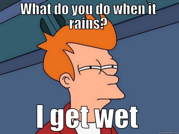 WHAT DO YOU DO WHEN IT RAINS? I GET WET Futurama Fry