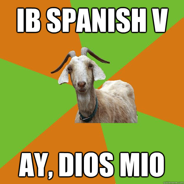 IB SPANISH V AY, DIOS MIO - IB SPANISH V AY, DIOS MIO  IB Goat