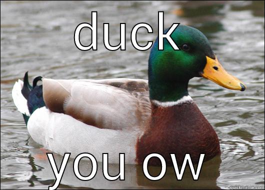 DUCK YOU OW Actual Advice Mallard