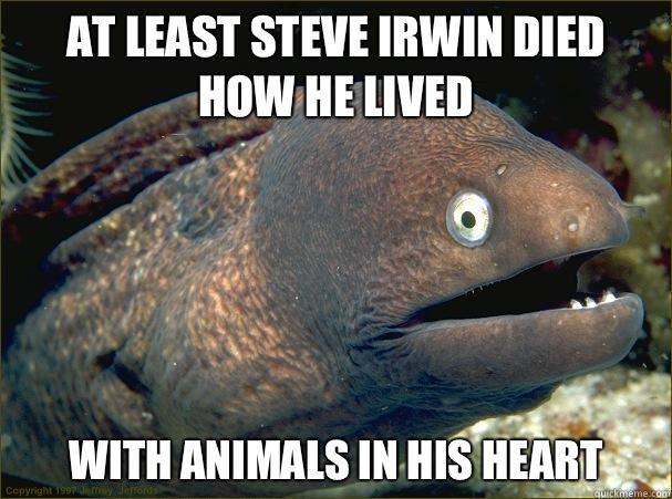 At least Steve Irwin died how he lived With animals in his heart - At least Steve Irwin died how he lived With animals in his heart  Bad Joke Eel