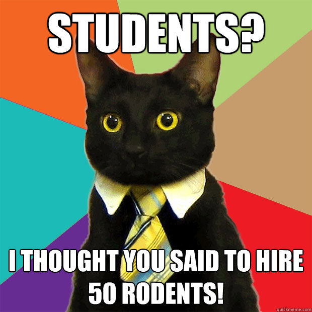 Students? I thought you said to hire 50 rodents! - Students? I thought you said to hire 50 rodents!  Business Cat