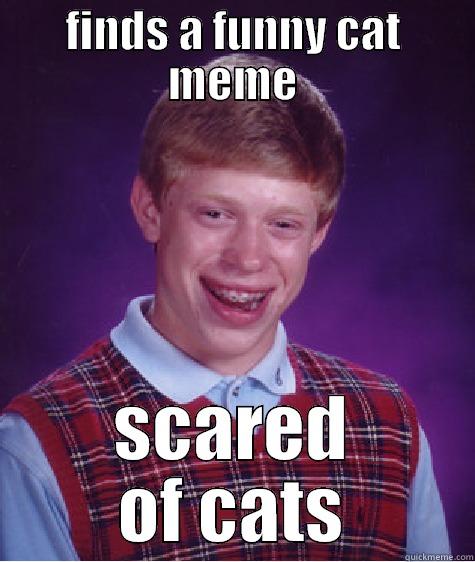 FINDS A FUNNY CAT MEME SCARED OF CATS Bad Luck Brian